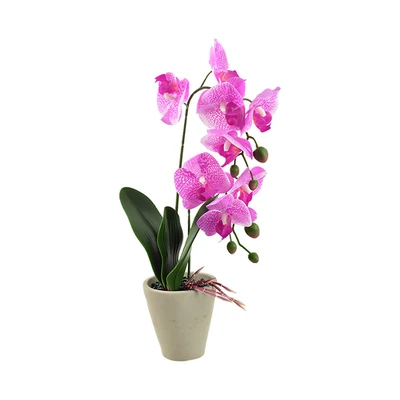 Gambar Informa Bunga Artifisial Orchid 11x11x56 cm - Ungu Muda