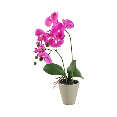 Gambar Informa 56 Cm Bunga Artifisial Orchid 7c - Ungu