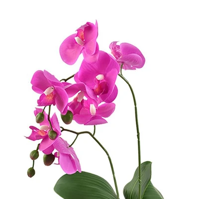 Gambar Informa 56 Cm Bunga Artifisial Orchid 7c - Ungu