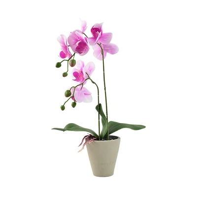 Gambar Informa Bunga Artifisial Orchid 11x11x56 cm - Putih/Ungu