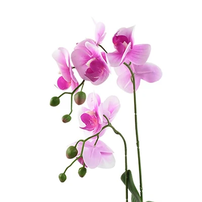 Gambar Informa Bunga Artifisial Orchid 11x11x56 cm - Putih/Ungu