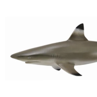 Gambar Collecta Figure Blacktip Reef Shark 88726