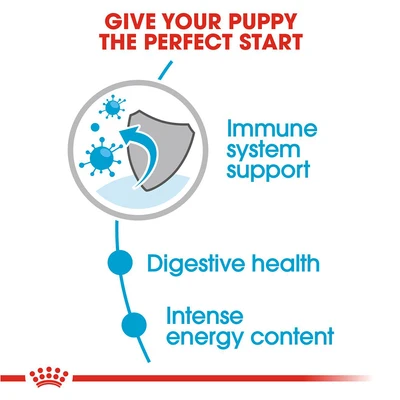 Gambar Royal Canin Makanan Anjing Basah Puppy Mini 85 gr