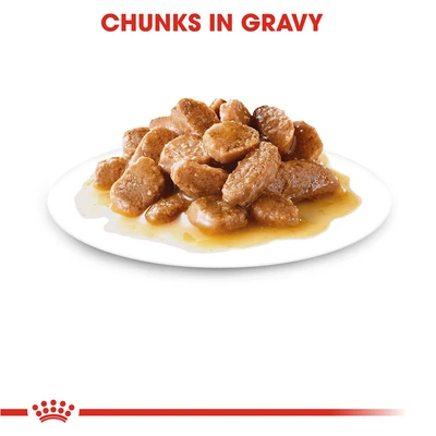 Gambar Royal Canin Makanan Anjing Basah Adult Mini 85 gr
