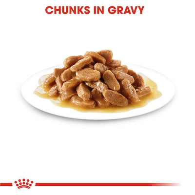 Gambar Royal Canin Makanan Anjing Basah Puppy Large 140 gr