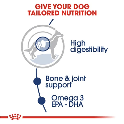 Gambar Royal Canin Makanan Anjing Basah Adult Maxi 85 gr
