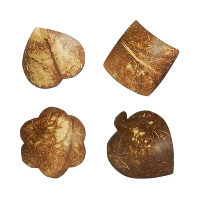 Gambar Pendopo Small Piring Saji Batok Kelapa Random