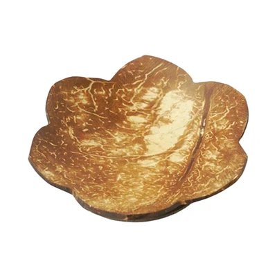 Gambar Pendopo Small Piring Saji Batok Kelapa Random