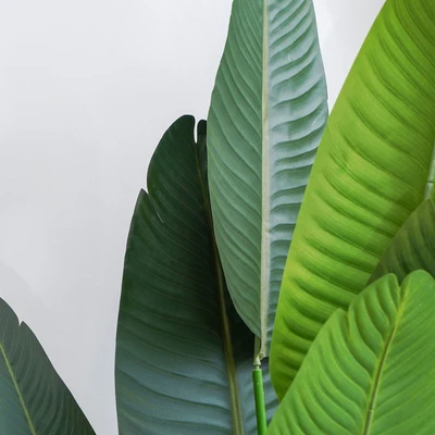 Gambar Informa Tanaman Artifisial Strelitzia Dengan Pot 30x30x180 cm - Hijau