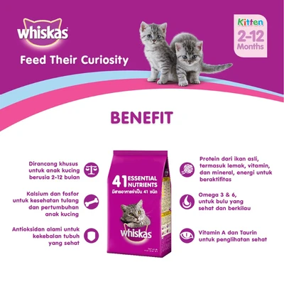 Gambar Whiskas Makanan Kucing Kering Junior Mackerel 450 gr