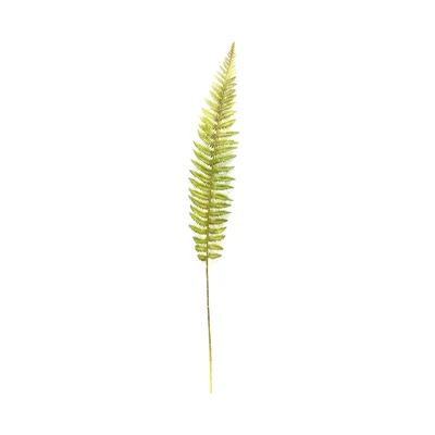 Gambar Informa Tanaman Artifisial Fern Leaves 100 cm - Hijau