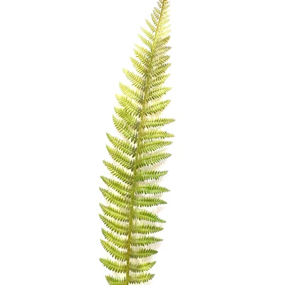 Gambar Informa Tanaman Artifisial Fern Leaves 100 cm - Hijau