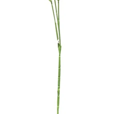 Gambar Informa Bunga Artifisial Baby Breath 15x64 cm - Putih