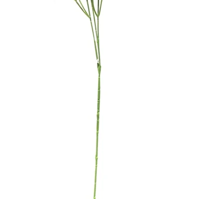 Gambar Informa Bunga Artifisial Baby Breath 15x64 cm - Biru