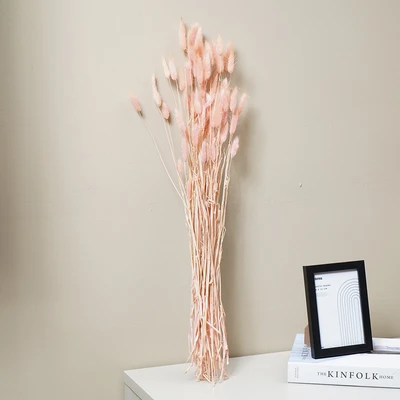 Gambar Informa Tanaman Kering Bunny Tail 14x83 cm - Pink