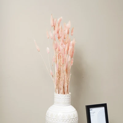Gambar Informa Tanaman Kering Bunny Tail 14x83 cm - Pink