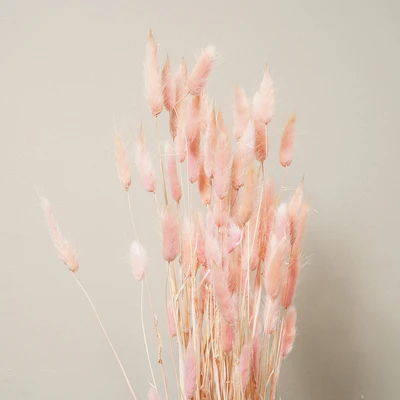 Gambar Informa Tanaman Kering Bunny Tail 14x83 cm - Pink