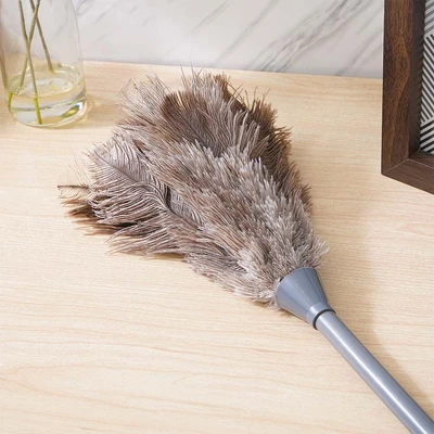 Gambar Proclean Kemoceng 18 cm - Abu-Abu
