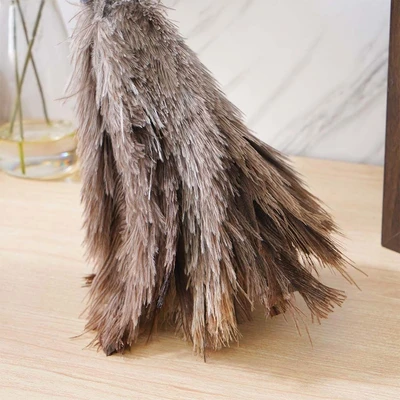Gambar Proclean Kemoceng 18 cm - Abu-Abu