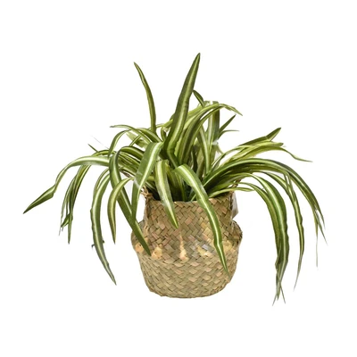 Gambar Informa Tanaman Artifisial Leaves Dengan Pot 44x44x29 cm - Mix
