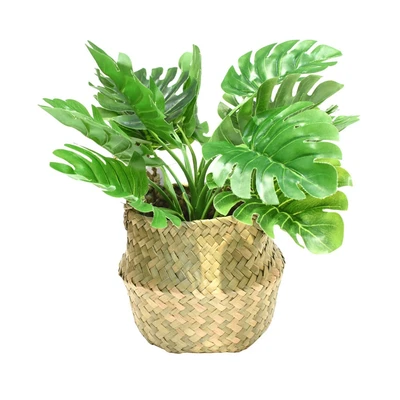 Gambar Informa Tanaman Artifisial Leaves Dengan Pot 30x30x25 cm - Mix