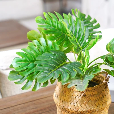 Gambar Informa Tanaman Artifisial Leaves Dengan Pot 30x30x25 cm - Mix