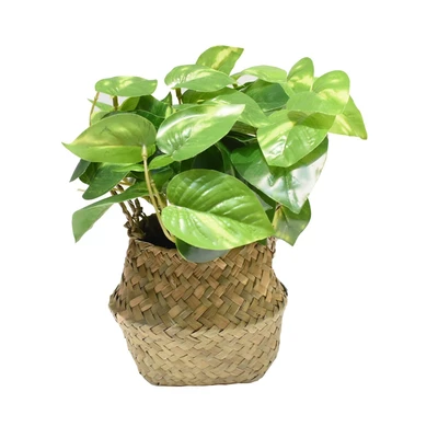 Gambar Informa Tanaman Artifisial Leaves Dengan Pot 20x20x25 cm - Mix