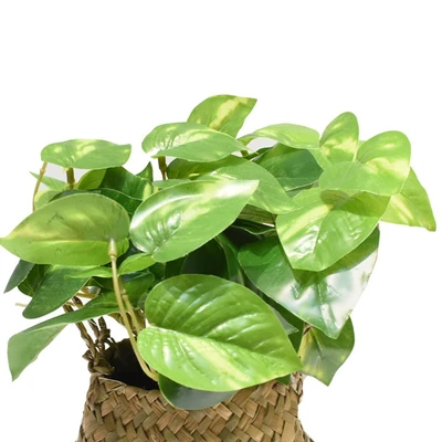 Gambar Informa Tanaman Artifisial Leaves Dengan Pot 20x20x25 cm - Mix