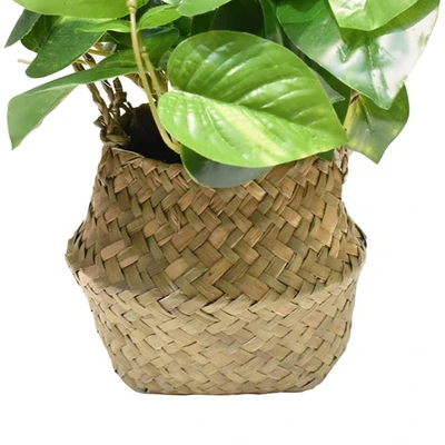 Gambar Informa Tanaman Artifisial Leaves Dengan Pot 20x20x25 cm - Mix