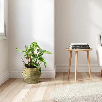 Gambar Informa Tanaman Artifisial Leaves Dengan Pot 33x33x27 cm - Mix