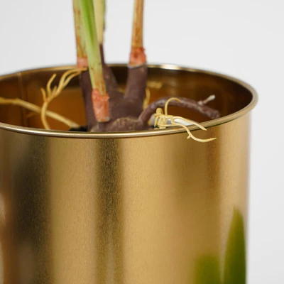 Gambar Informa Pot Tanaman Dengan Stand 104.5 cm - Gold