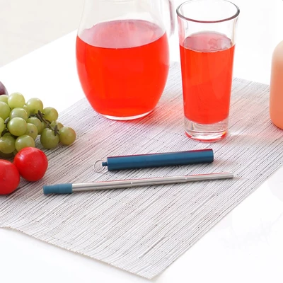 Gambar Delicia Sedotan & Sikat Extendable Stainless Steel Dengan Tempat - Biru