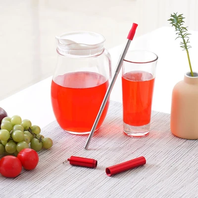 Gambar Delicia Sedotan & Sikat Extendable Stainless Steel Dengan Tempat - Merah