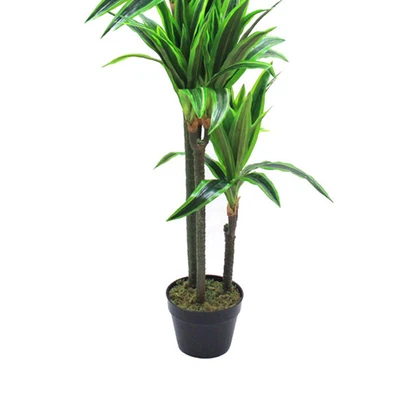 Gambar Informa Tanaman Artifisial 120 Cm Dracaena Reflexa