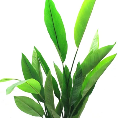 Gambar Informa Tanaman Artifisial Heliconia Dalam Pot 110 Cm