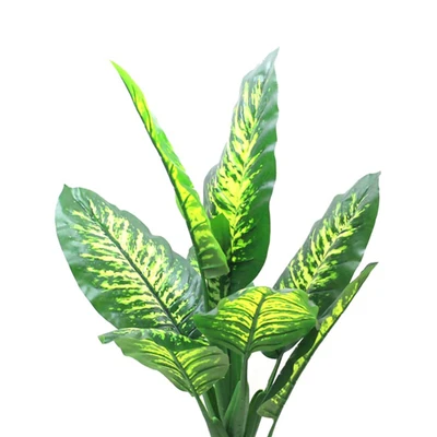 Gambar Informa Tanaman Artifisial Dieffenbachia 90 Cm