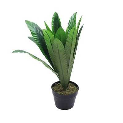 Gambar Informa Tanaman Artifisial Birds Nest Dengan Pot 55 cm - Hijau