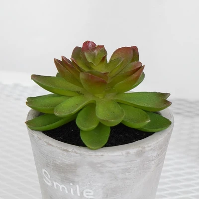 Gambar Informa Tanaman Artifisial Succulent Dengan Pot 6.2x6.2x9 cm - Hijau