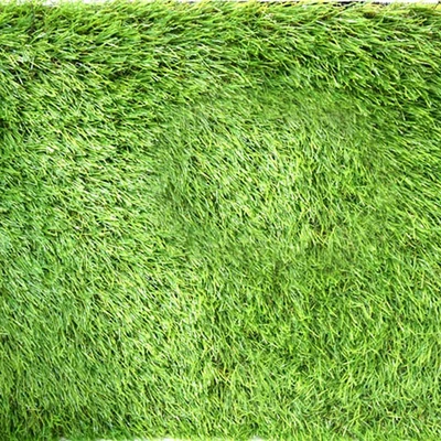 Gambar Cc Grass 2x1 Mtr Rumput Artifisial Ample - Hijau