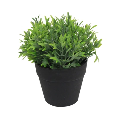 Gambar Informa Tanaman Artifisial Grass 27.5x9x18.5 cm Set 3 Pcs - Mix