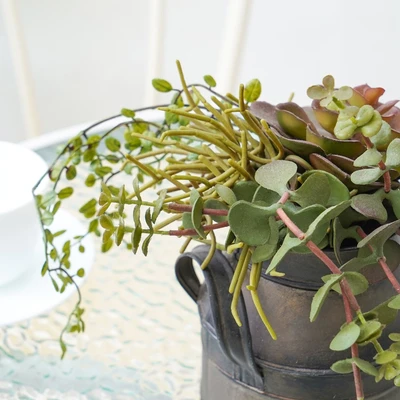 Gambar Arthome Tanaman Artifisial Succulent Dengan Pot 18.4x18.4x33.6 cm - Hijau