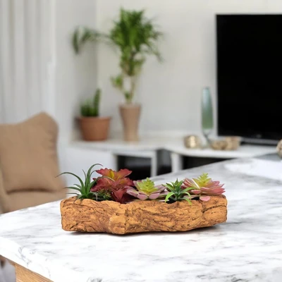 Gambar Arthome Tanaman Artifisial Succulent Sedum Dengan Pot Ashtray 33xx15x14 cm - Mix