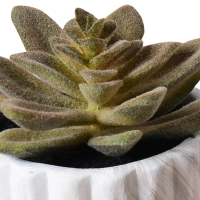 Gambar Arthome Tanaman Artifisial Succulent Maria Dengan Pot Marble 8x8x12 cm - Hijau