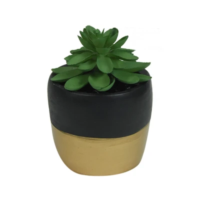 Gambar Arthome Tanaman Artifisial Succulent Rameria Dengan Pot 8x8x13 cm - HIjau/Hitam