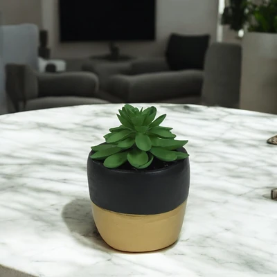 Gambar Arthome Tanaman Artifisial Succulent Rameria Dengan Pot 8x8x13 cm - HIjau/Hitam