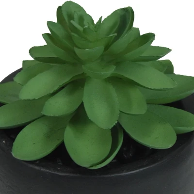 Gambar Arthome Tanaman Artifisial Succulent Rameria Dengan Pot 8x8x13 cm - HIjau/Hitam