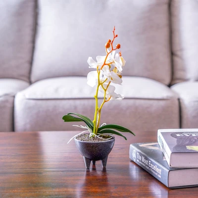 Gambar Arthome Bunga Artifisial Orchid Caluna Dengan Pot 10x10x32.5 cm - Putih