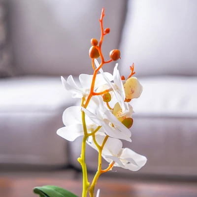 Gambar Arthome Bunga Artifisial Orchid Caluna Dengan Pot 10x10x32.5 cm - Putih