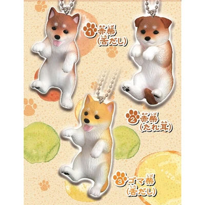 Gambar Epoch Figure Yura Shiba Egp62132