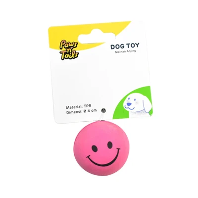 Gambar Paws N Tail Mainan Anjing Small Splash Ball
